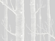 Cole & Son Whimsical Woods - 103/5022