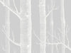 Cole & Son Whimsical Woods - 103/5022