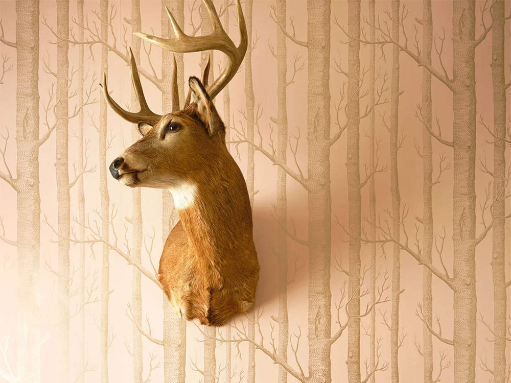 Cole & Son Whimsical Woods - 103/5024