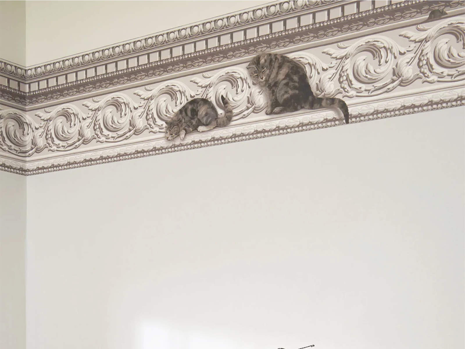 Cole & Son Whimsical Paddy & Louis Border - 103/6025