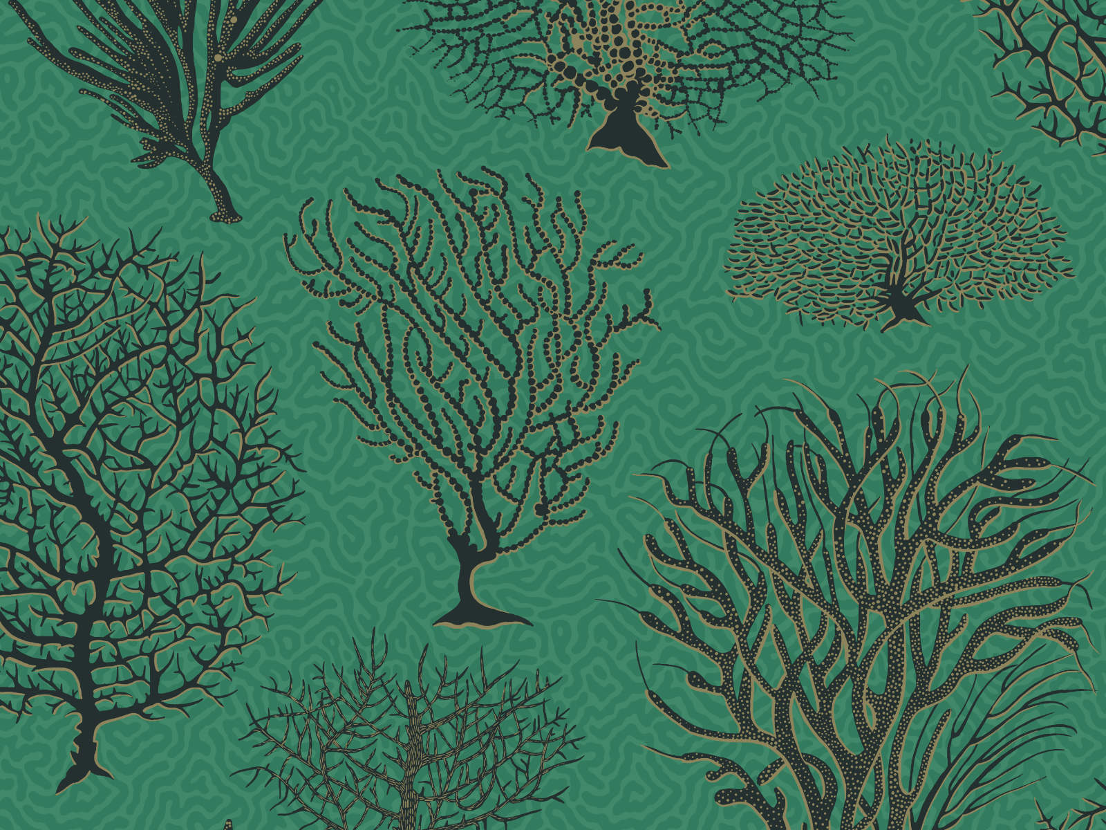 Cole & Son Curio Seafern - 107/2007