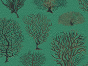 Cole & Son Curio Seafern - 107/2007