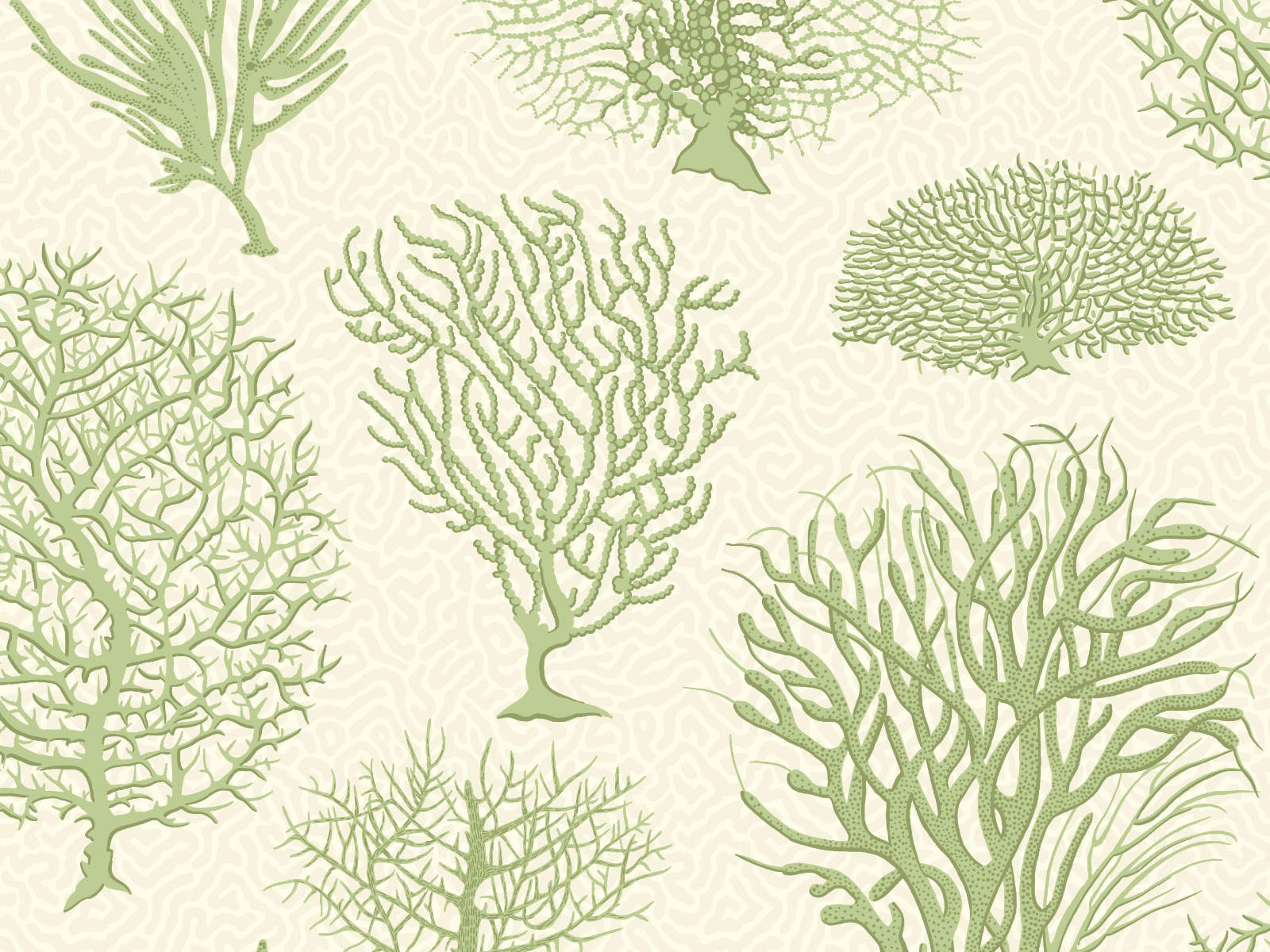 Cole & Son Curio Seafern - 107/2008