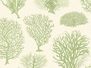 Cole & Son Curio Seafern - 107/2008