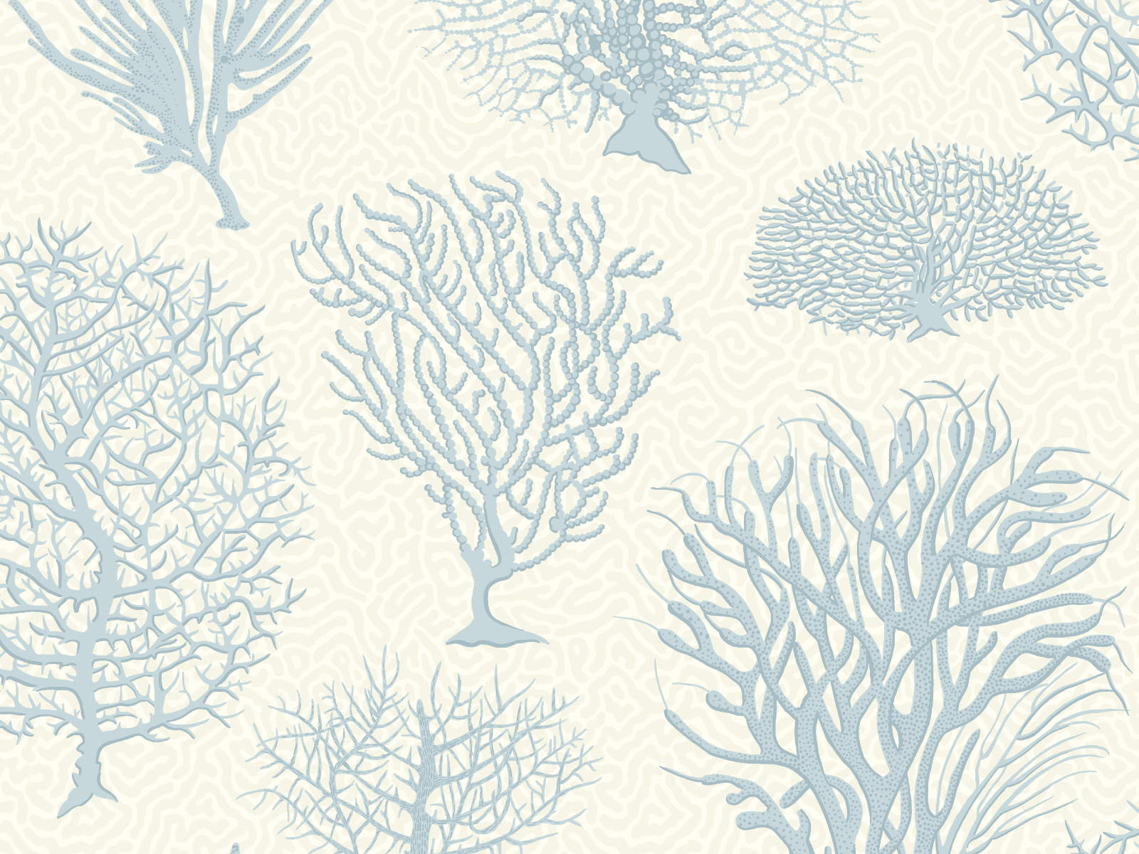 Cole & Son Curio Seafern - 107/2009