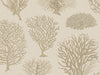 Cole & Son Curio Seafern - 107/2010