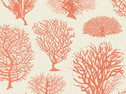 Cole & Son Curio Seafern - 107/2011