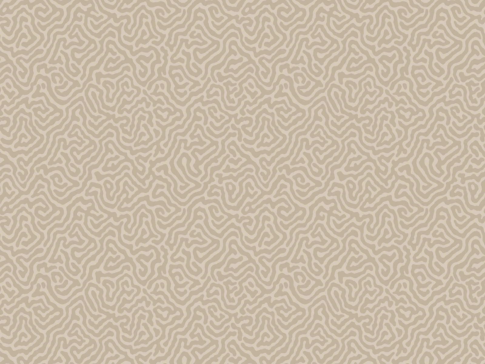 Cole & Son Curio Vermicelli - 107/4019