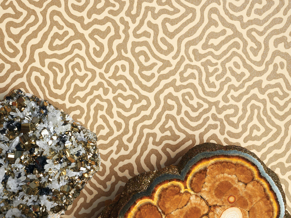 Cole & Son Curio Vermicelli - 107/4021