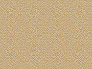 Cole & Son Curio Vermicelli - 107/4021