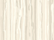Cole & Son Curio Strand - 107/7032