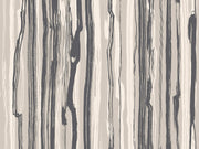 Cole & Son Curio Strand - 107/7035