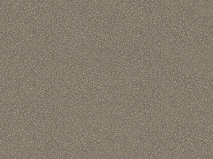 Cole & Son Curio Goldstone - 107/9043