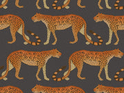 Cole & Son Ardmore Leopard Walk - 109/2008