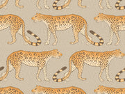 Cole & Son Ardmore Leopard Walk - 109/2010