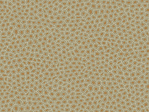 Cole & Son Ardmore Senzo Spot - 109/6029