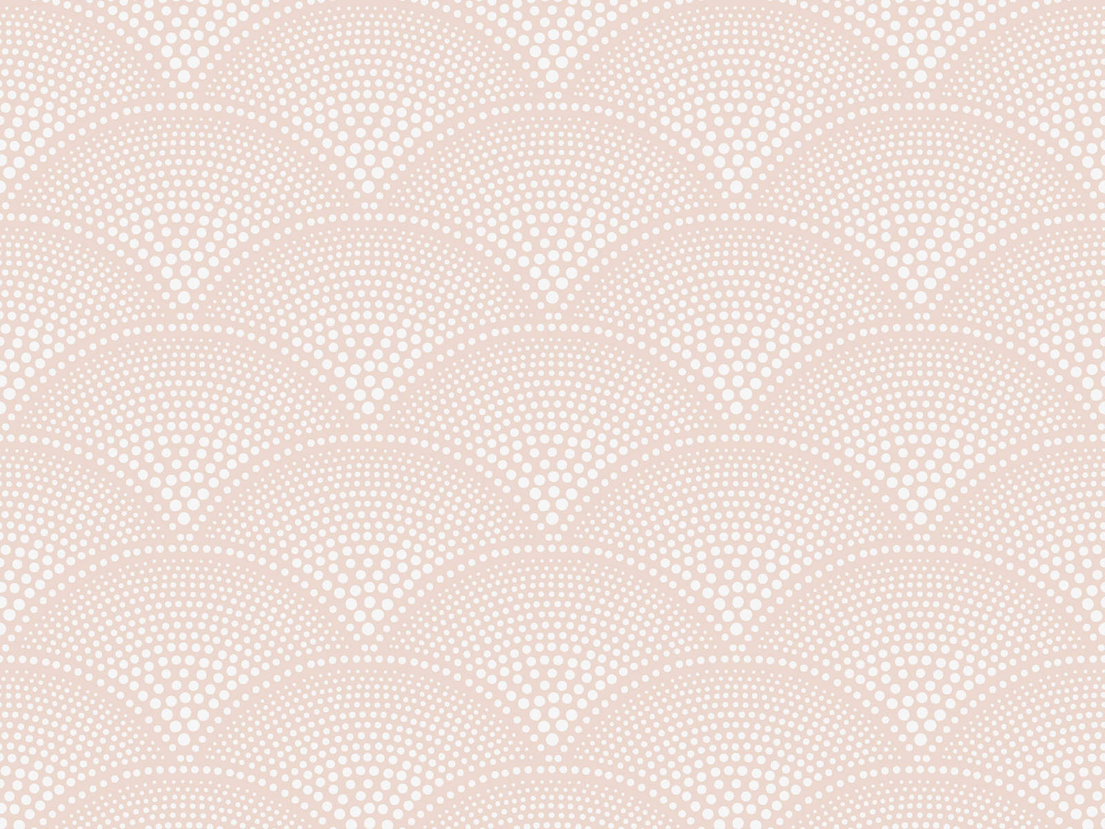 Cole & Son Icons Feather Fan - 112/10035