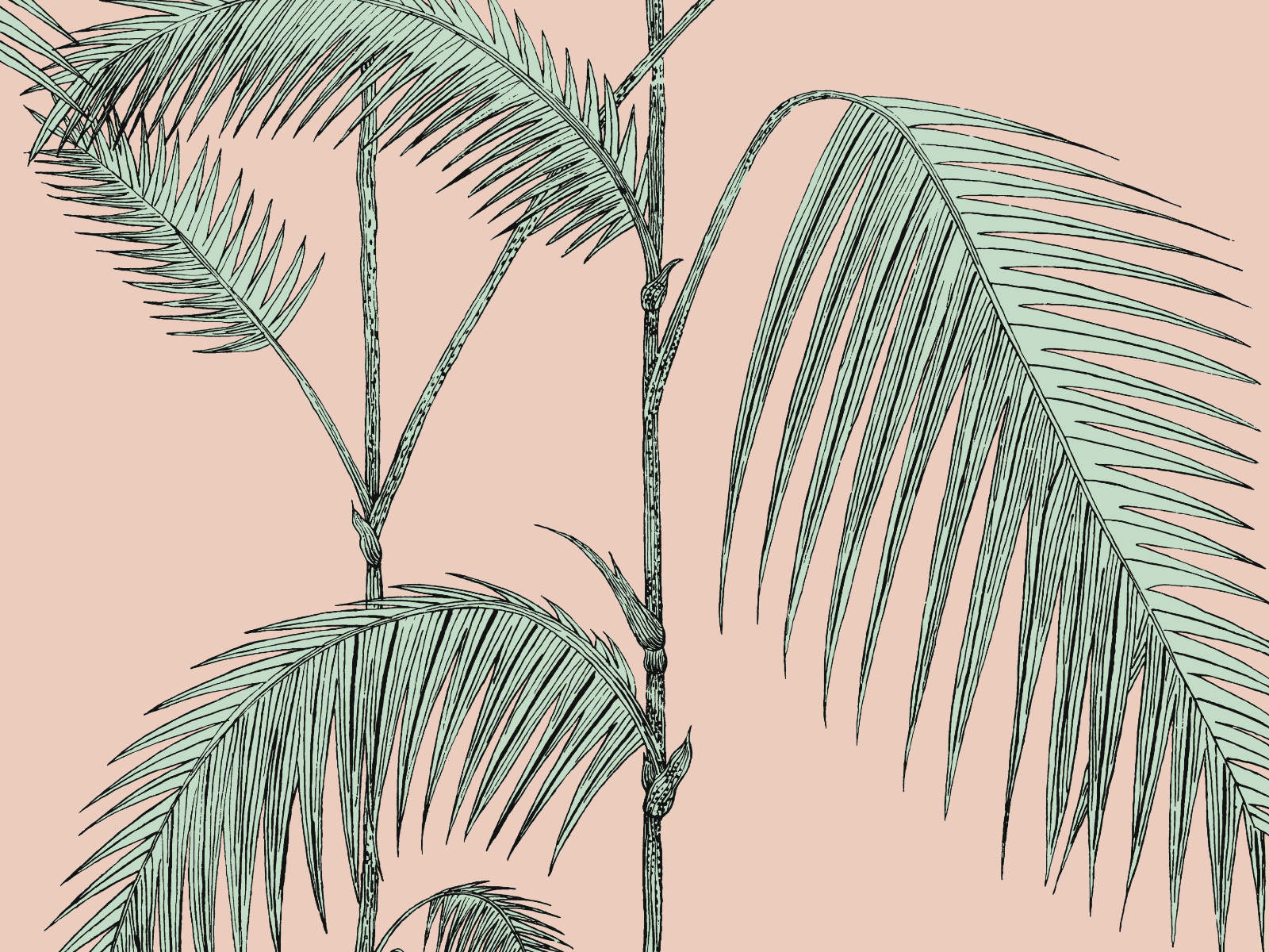 Cole & Son Icons Palm Leaves - 112/2005