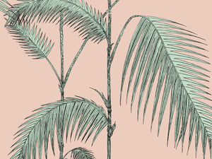 Cole & Son Icons Palm Leaves - 112/2005