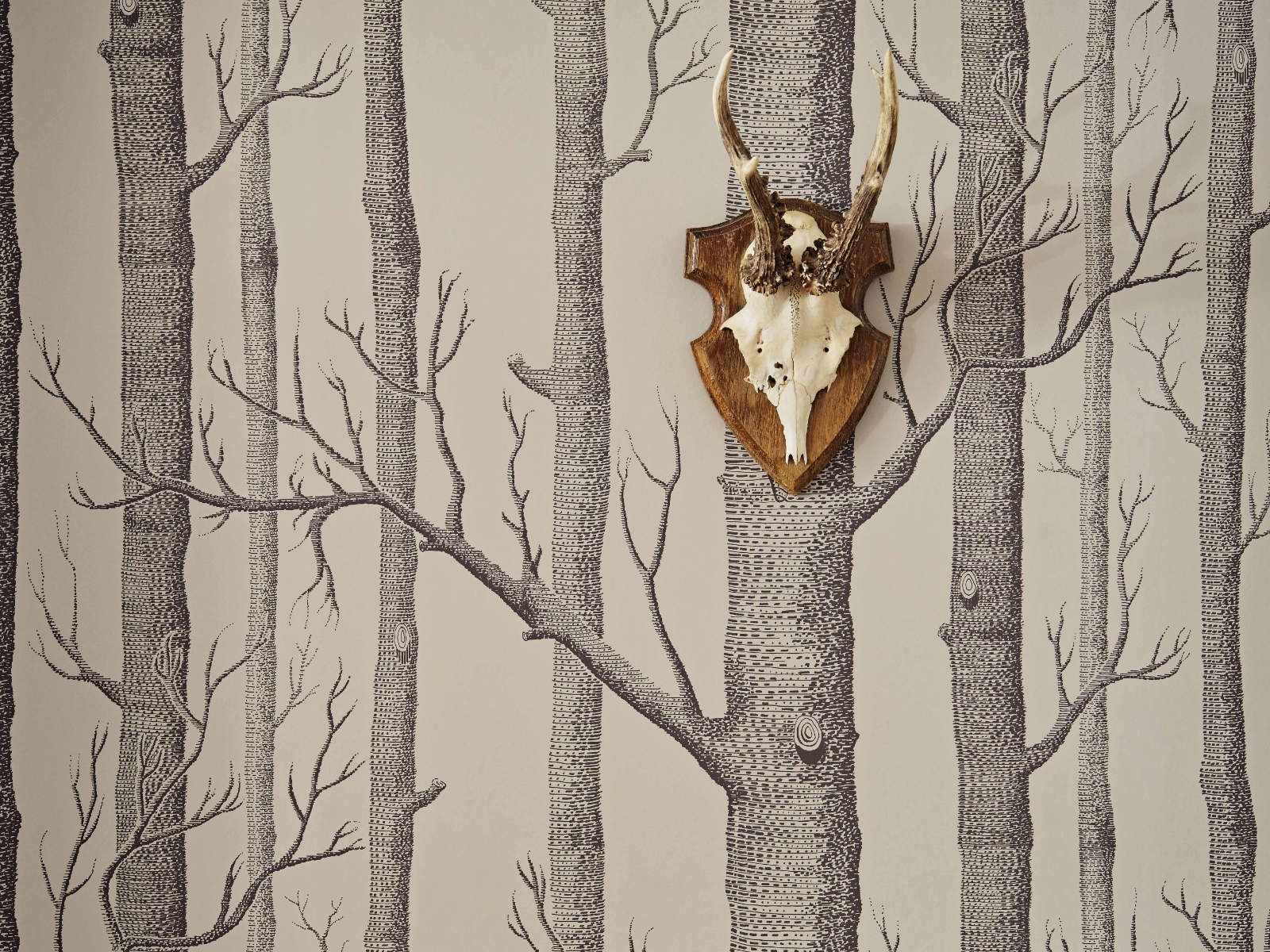 Cole & Son Icons Woods - 112/3009