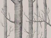 Cole & Son Icons Woods - 112/3009
