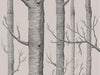 Cole & Son Icons Woods - 112/3009