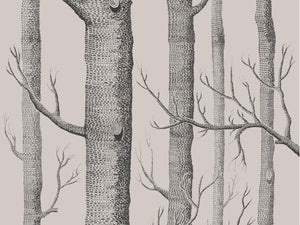 Cole & Son Icons Woods - 112/3009