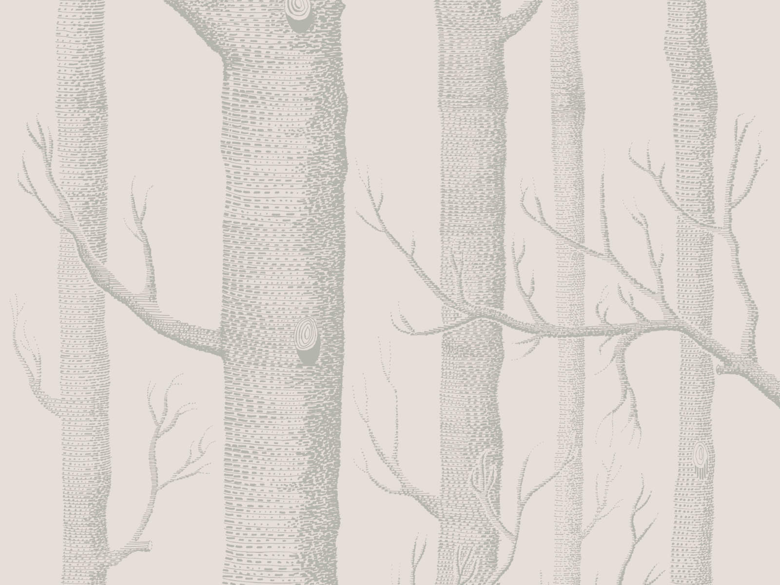 Cole & Son Icons Woods - 112/3011