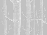 Cole & Son Icons Woods - 112/3012