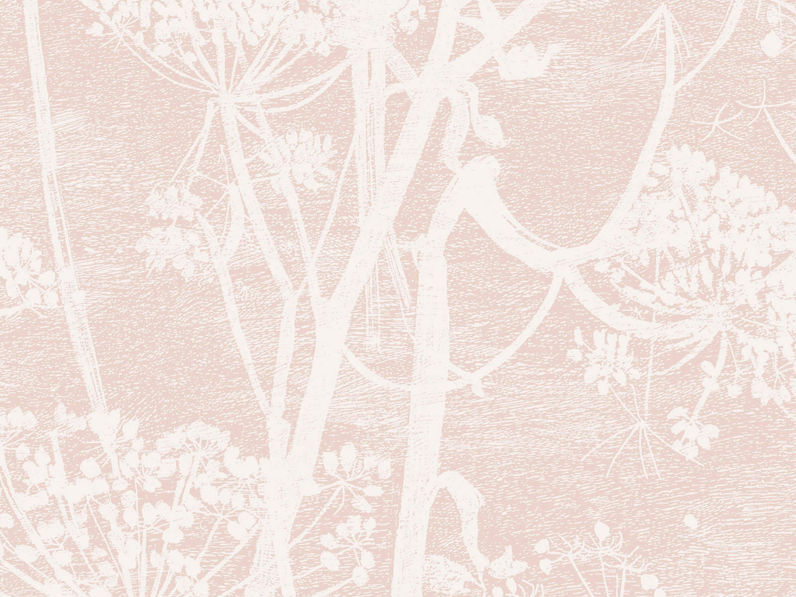 Cole & Son Icons Cow Parsley - 112/8028