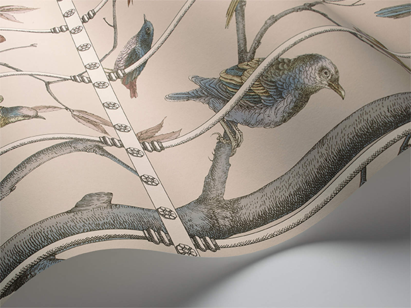 Cole & Son Fornasetti Senza Tempo Uccelli - 114/11022