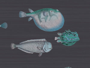 Cole & Son Fornasetti Senza Tempo Acquario - 114/16032