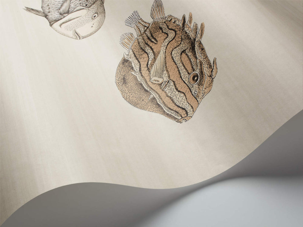 Cole & Son Fornasetti Senza Tempo Acquario - 114/16033