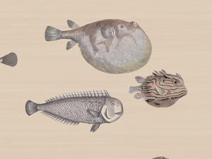 Cole & Son Fornasetti Senza Tempo Acquario - 114/16033