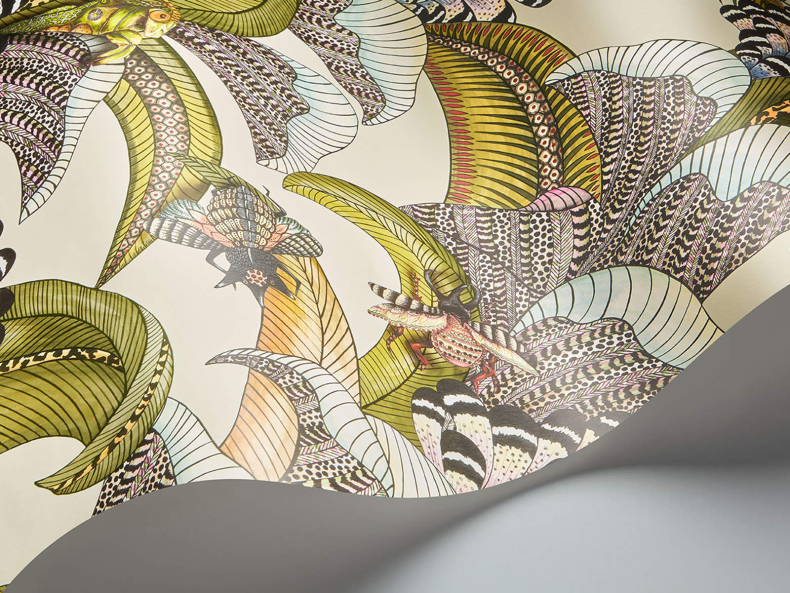 Cole & Son Ardmore Jabula Hoopoe Leaves - 119/1001