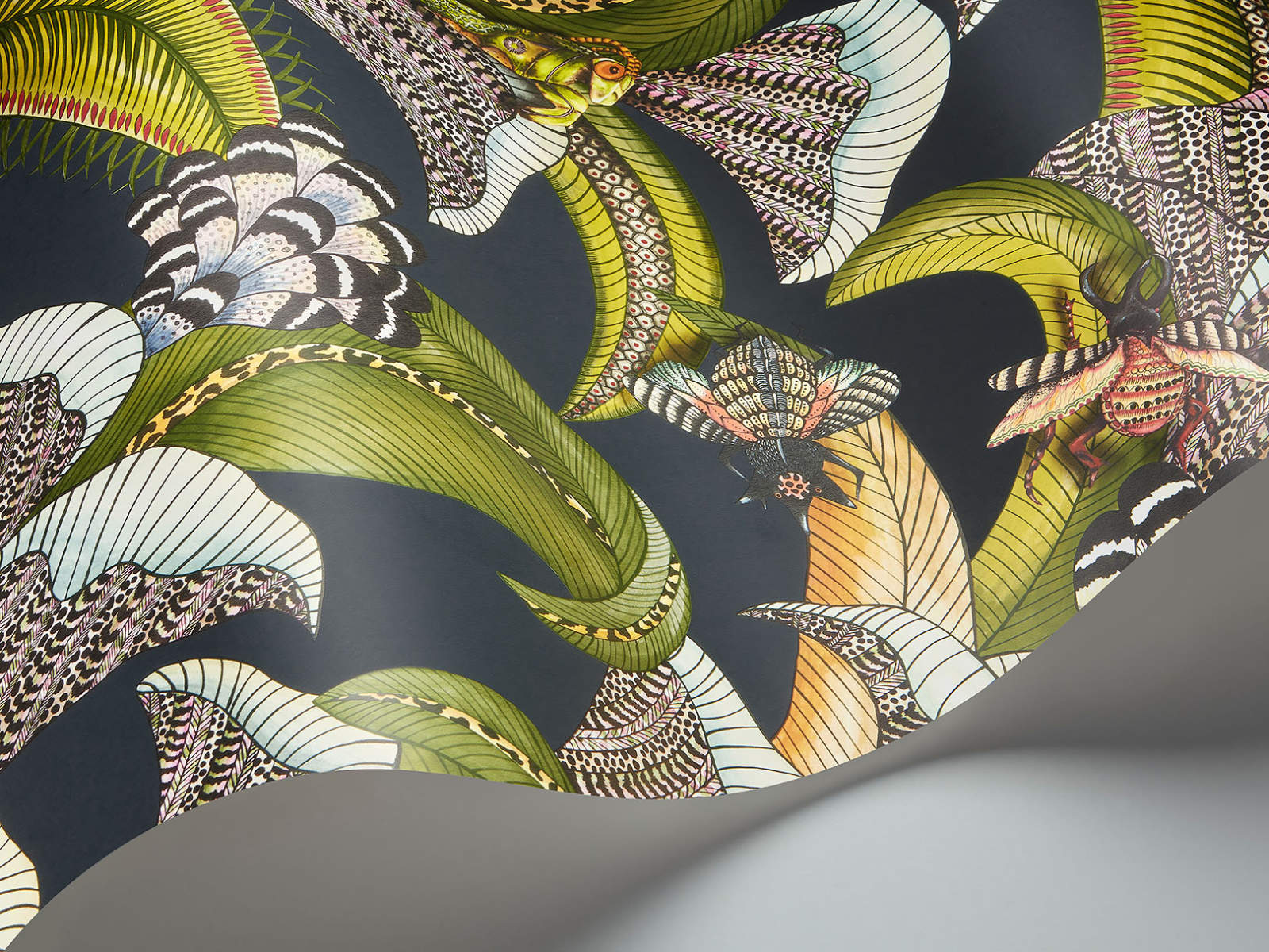 Cole & Son Ardmore Jabula Hoopoe Leaves - 119/1002