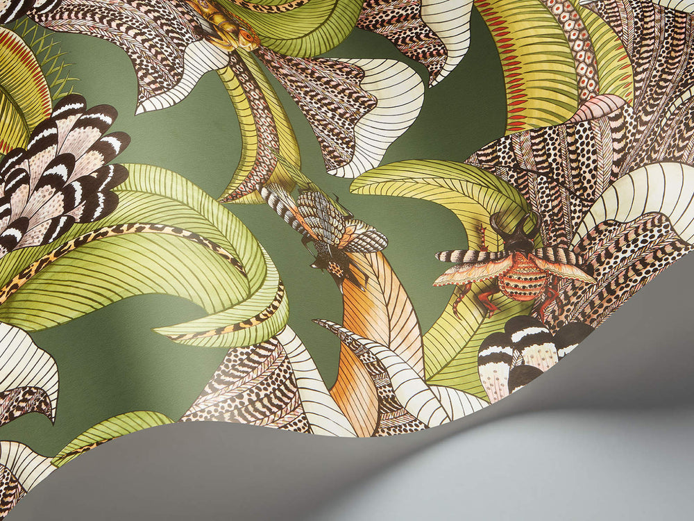 Cole & Son Ardmore Jabula Hoopoe Leaves - 119/1003