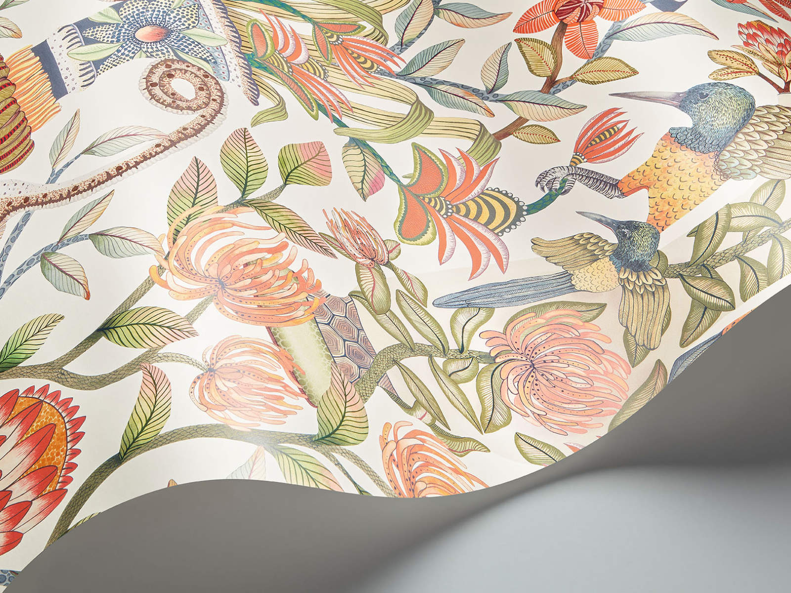 Cole & Son Ardmore Jabula Protea Garden - 119/10043