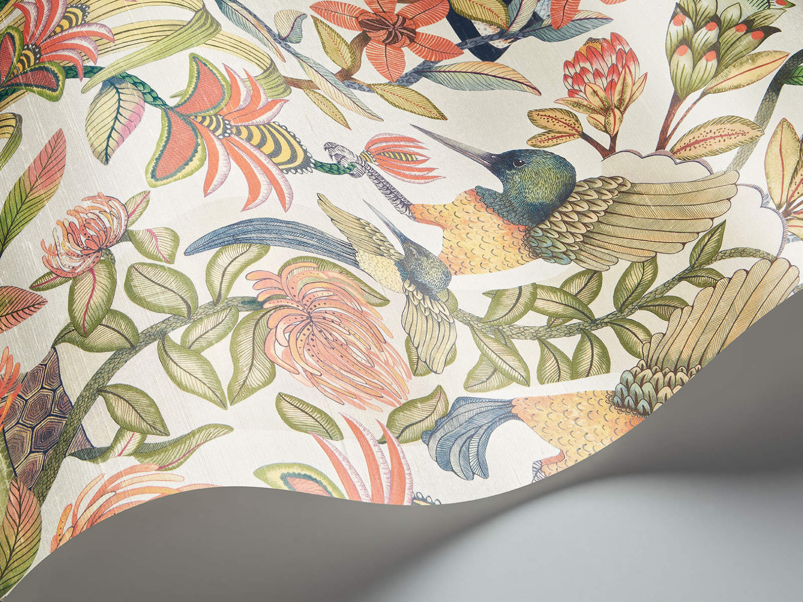 Cole & Son Ardmore Jabula Protea Garden Silk - 119/10045