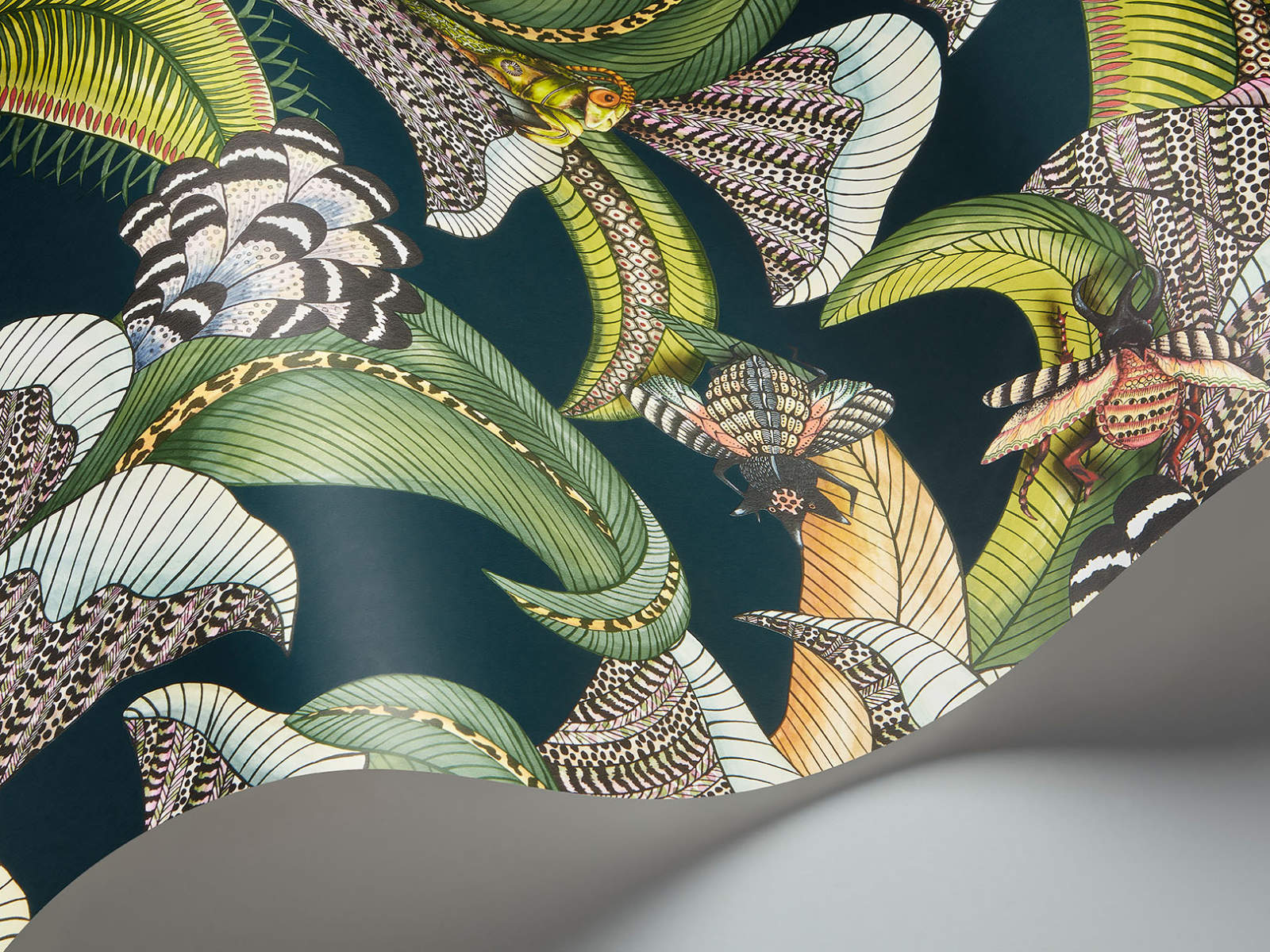 Cole & Son Ardmore Jabula Hoopoe Leaves - 119/1007