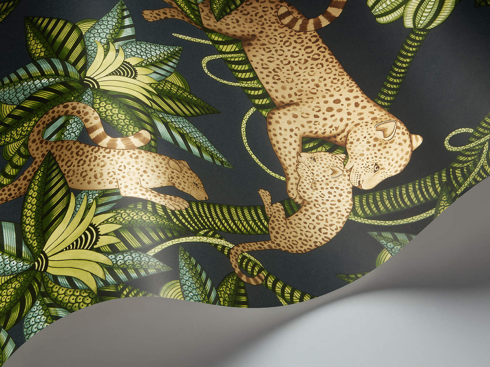 Cole & Son Ardmore Jabula Satara - 119/3016