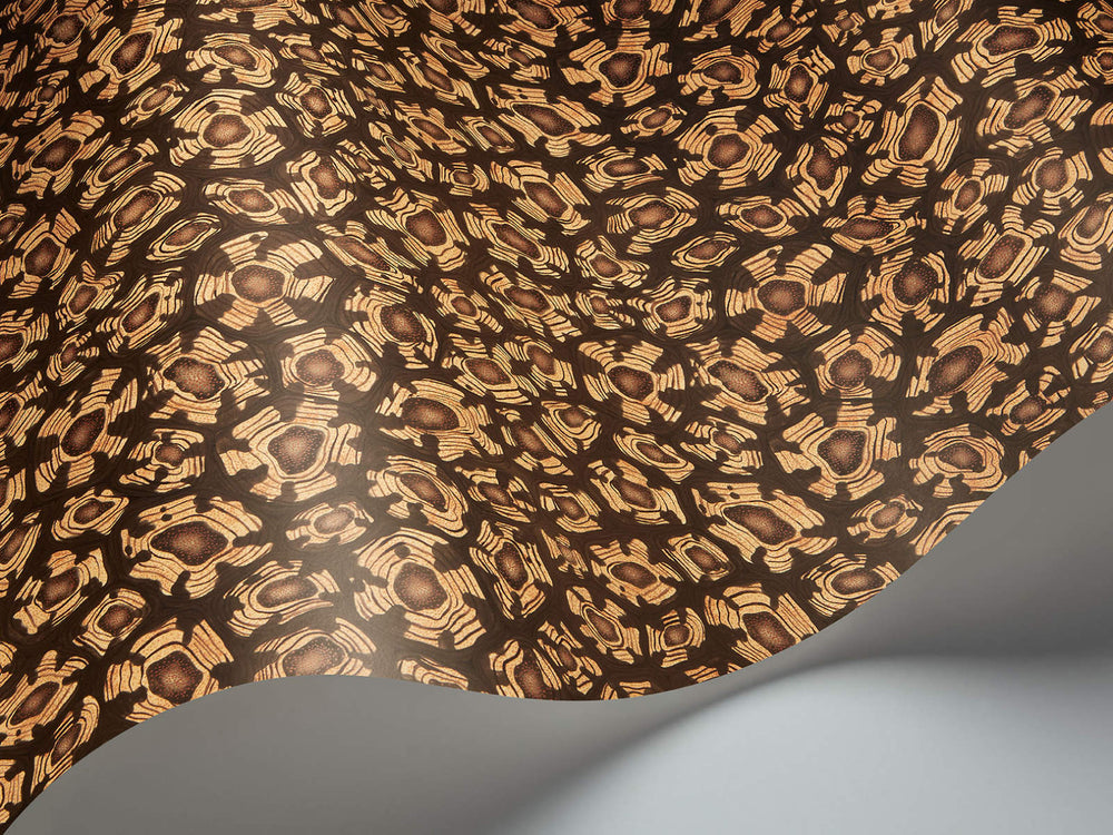 Cole & Son Ardmore Jabula Savanna Shell - 119/4019