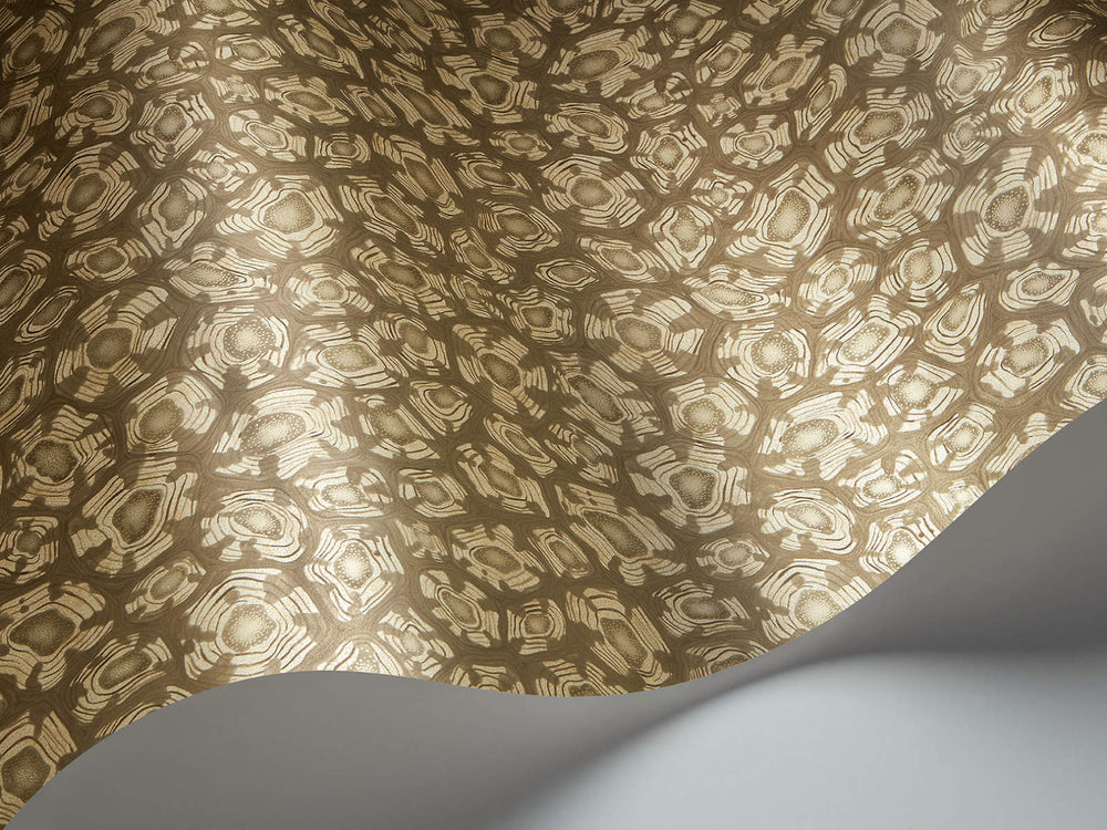 Cole & Son Ardmore Jabula Savanna Shell - 119/4020