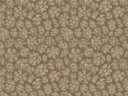 Cole & Son Ardmore Jabula Savanna Shell - 119/4020