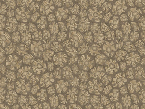 Cole & Son Ardmore Jabula Savanna Shell - 119/4020