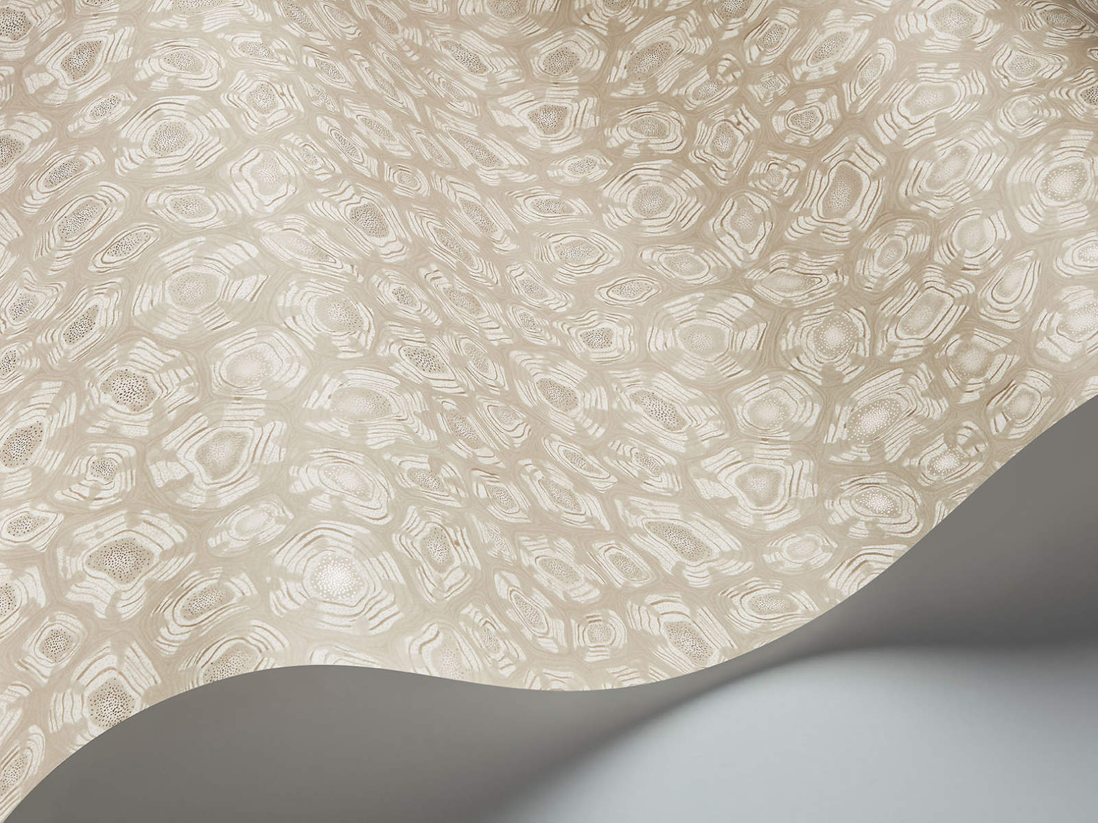 Cole & Son Ardmore Jabula Savanna Shell - 119/4021