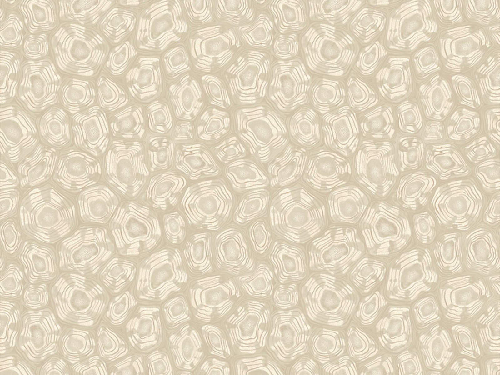 Cole & Son Ardmore Jabula Savanna Shell - 119/4021