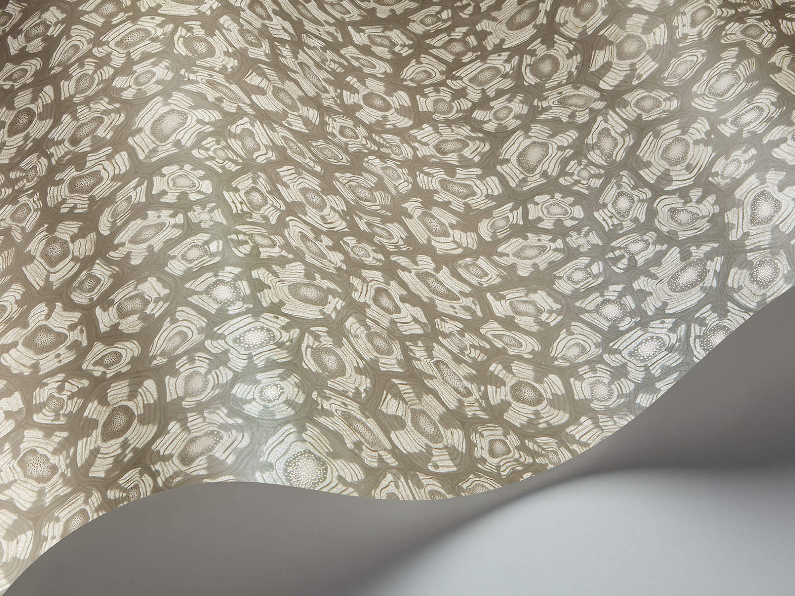 Cole & Son Ardmore Jabula Savanna Shell - 119/4022