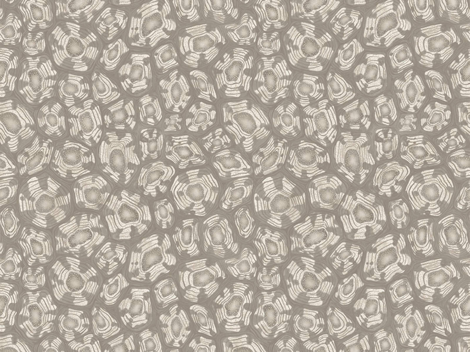 Cole & Son Ardmore Jabula Savanna Shell - 119/4022