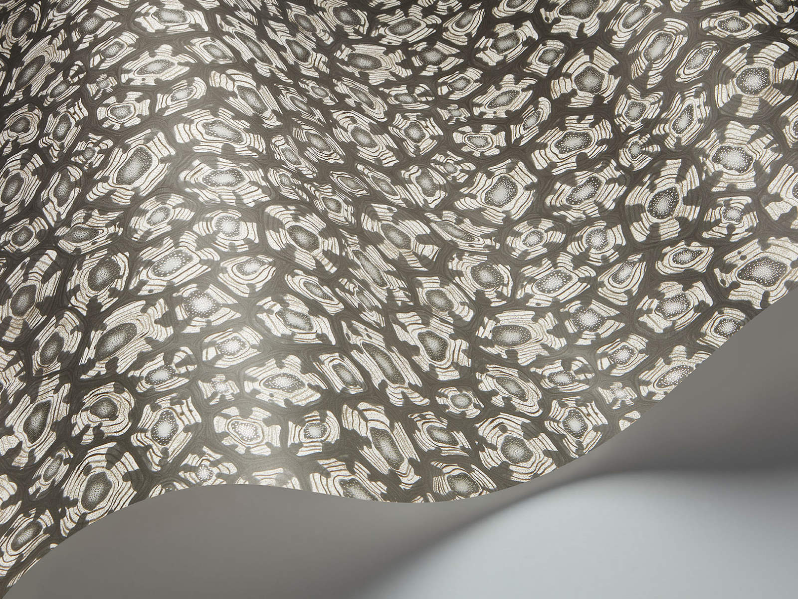 Cole & Son Ardmore Jabula Savanna Shell - 119/4023